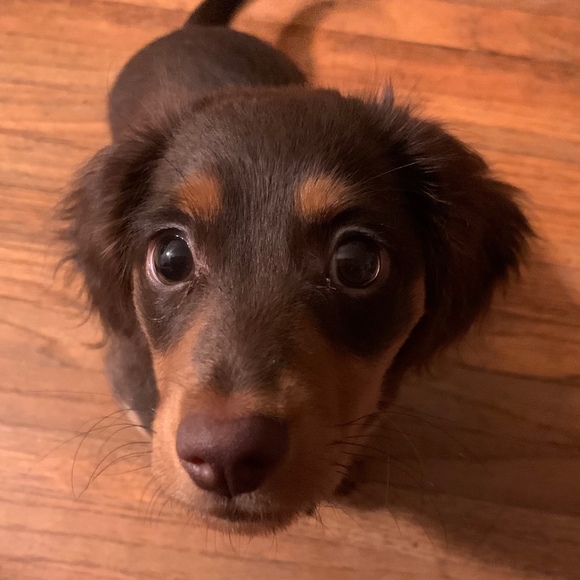 mini_lucy